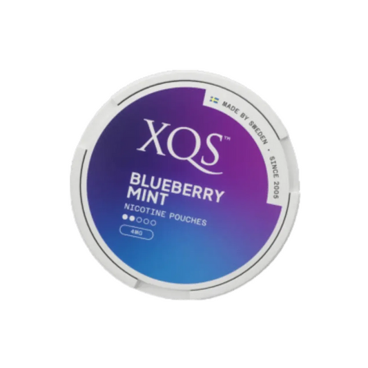 xqs-blueberry-mint-8mg-nicotine-zakjes-online-snusljus